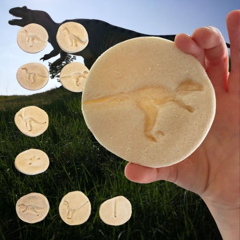 Mini Knutseldoos Dino Droomdoos