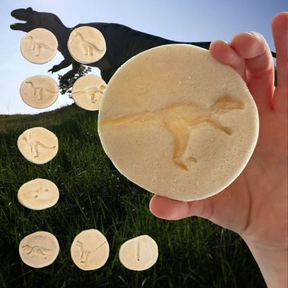 Mini Knutseldoos Dino Droomdoos